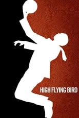 high-flying-bird