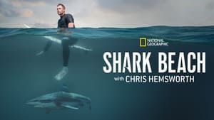 Shark Beach with Chris Hemsworth