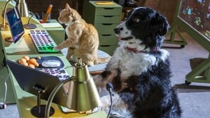 Como perros y gatos: La patrulla unida