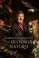 fantastic-beasts-a-natural-history